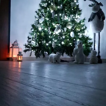 Nocleg ze śniadaniem Marselo